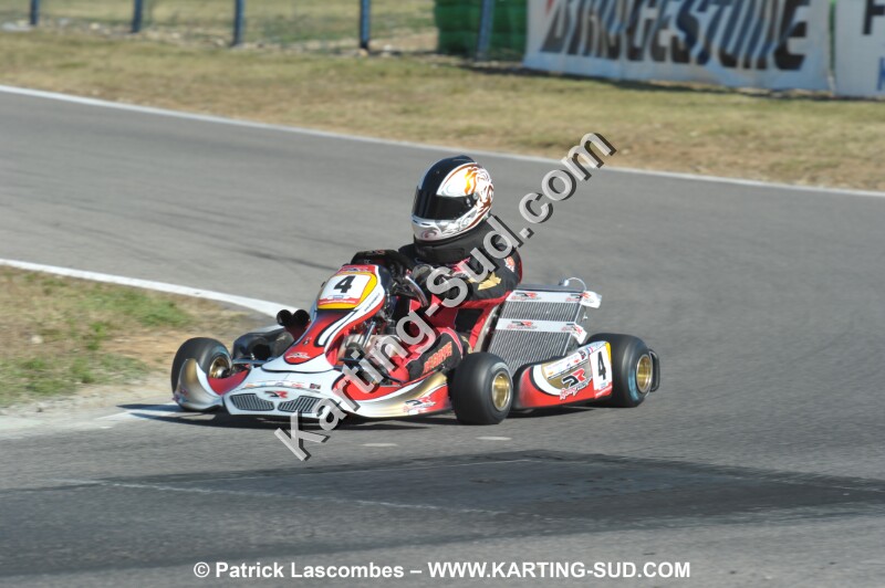 DSC_ (1529).JPG